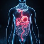 The Hidden Link Between Your Gut and Mental Health: How the Microbiome Shapes Your Mind